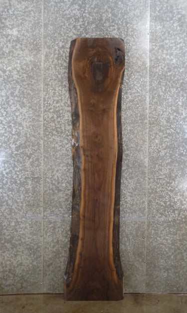 Live Edge Black Walnut Mantle/Counter/Coffee Table Top Slab 1036